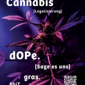 Auf dem Flyer ist ein Cannabisblatt zu sehen sowie bestimmte Wörter wie Cannabis und Synonyme.