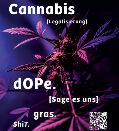 Auf dem Flyer ist ein Cannabisblatt zu sehen sowie bestimmte Wörter wie Cannabis und Synonyme.